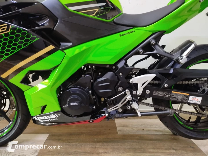 Ninja 300 cc