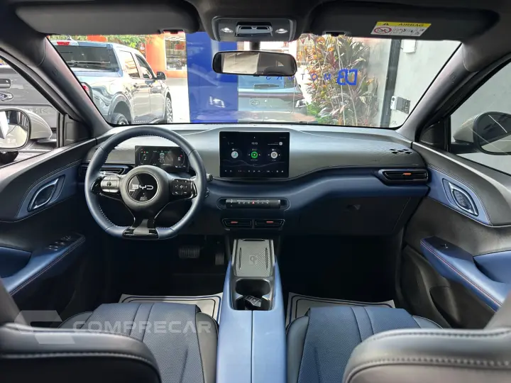 Dolphin Mini (Elétrico)