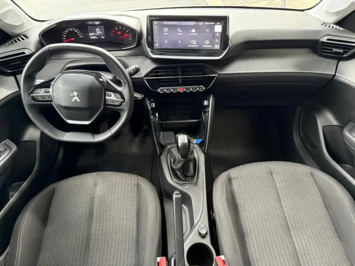 208 1.0 Firefly Like