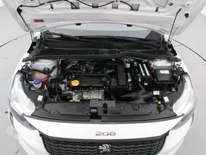 208 1.0 6V FLEX LIKE MANUAL