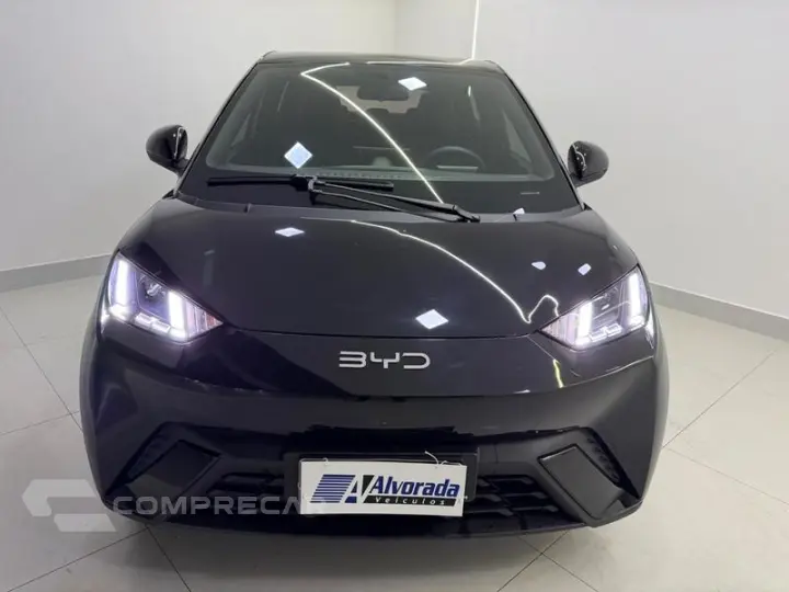 DOLPHIN MINI GS5EV