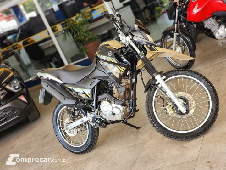 XTZ XTZ 150 CROSSER Z FLEX