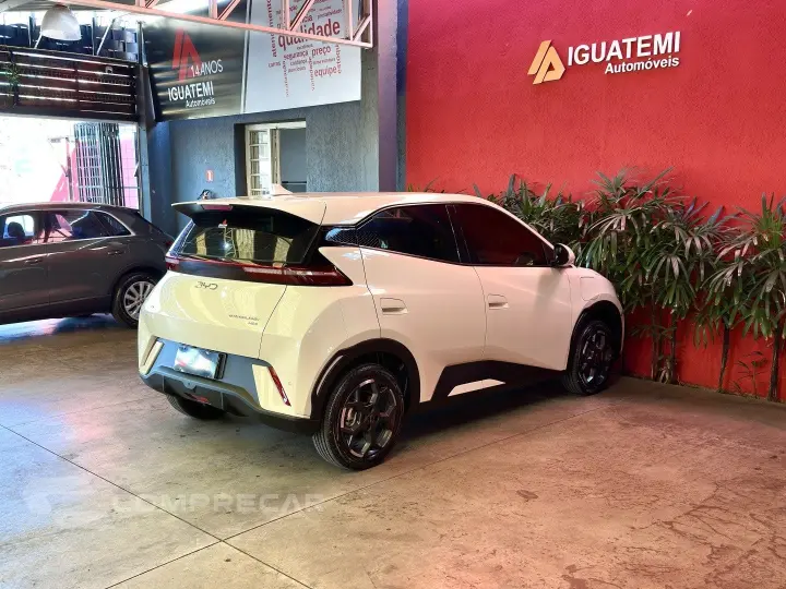 DOLPHIN MINI 38 KW ELÉTRICO GS