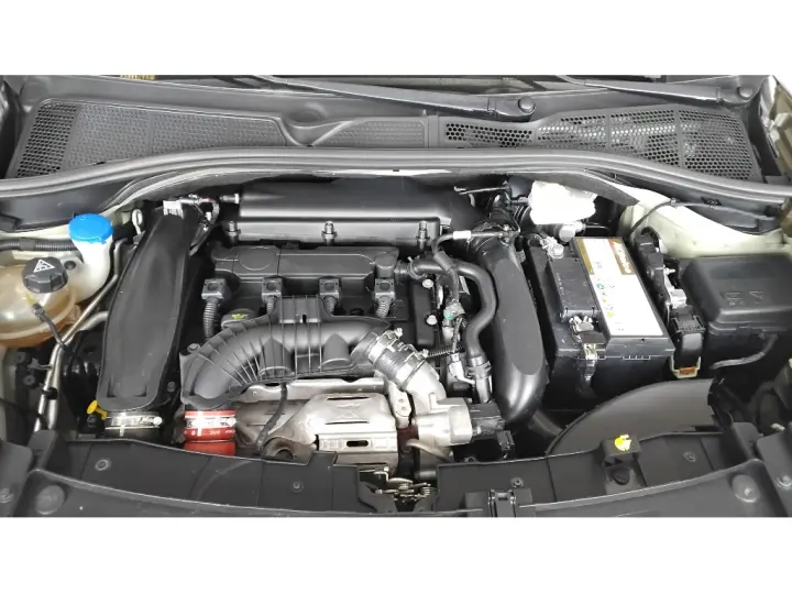 C4 CACTUS 1.6 THP FLEX SHINE EAT6