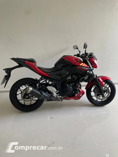 MT 03