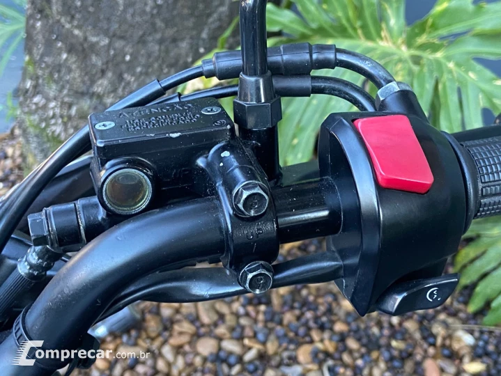 CB 250F TWISTER