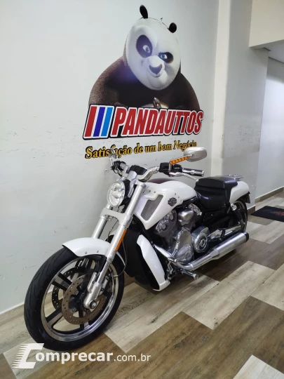 V Rod Custom 1250 cc