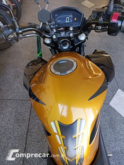 CB 250 TWISTER/FLEXONE