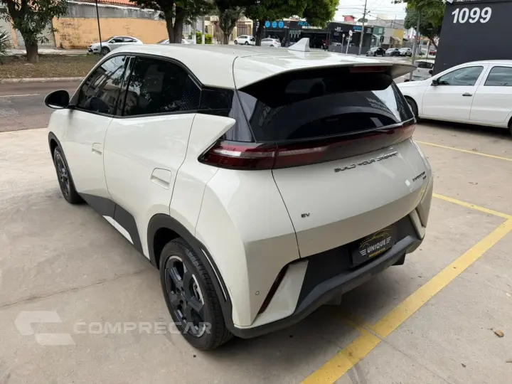 Dolphin Mini 38 Kw Elétrico