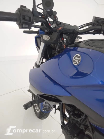 FAZER F250
