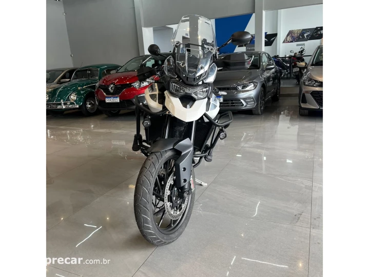 TIGER 900 GT PRO
