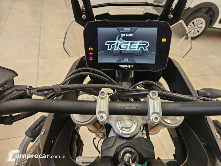 TIGER 900 RALLY