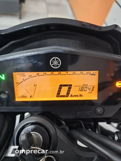 FZ25 FAZER LE