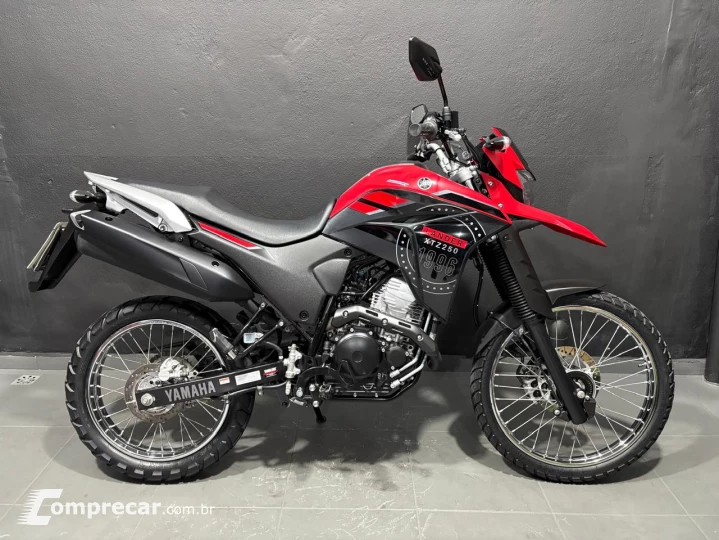 LANDER 250 ABS