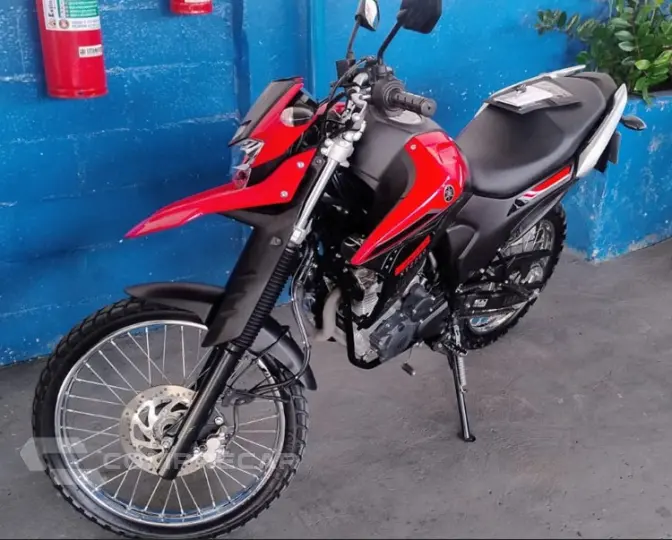 XTZ LANDER