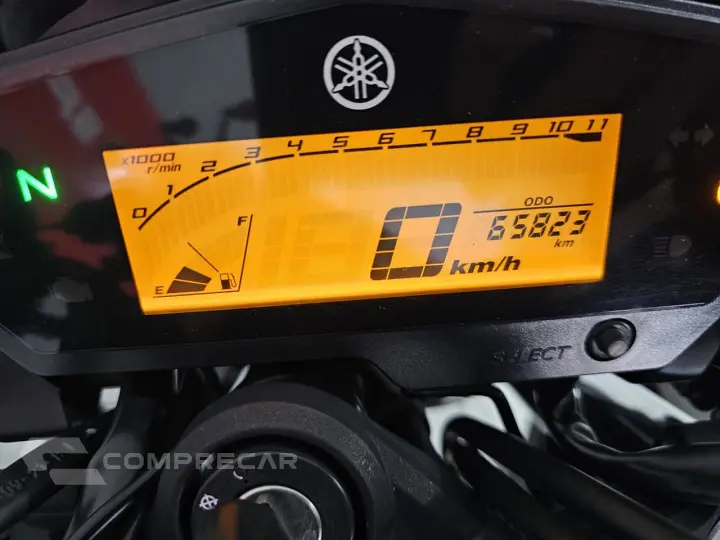 FZ 25