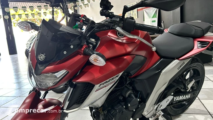 FZ25 ABS