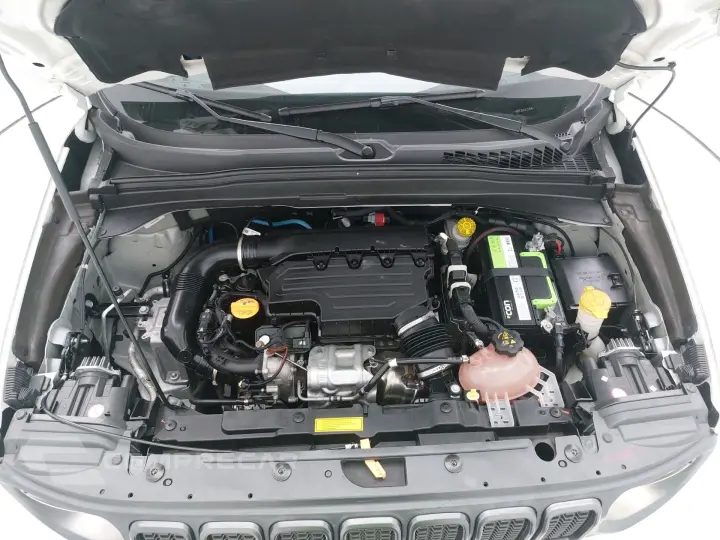 RENEGADE 1.3 T270 TURBO FLEX S 4X4 AT9