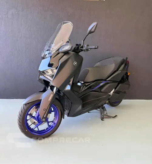 Xmax 300