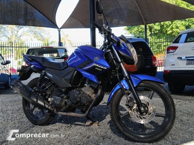 YS 150 FAZER SED - Street