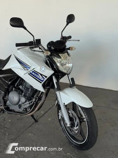 YS 250 FAZER/ FAZER L. EDITION /BLUEFLEX