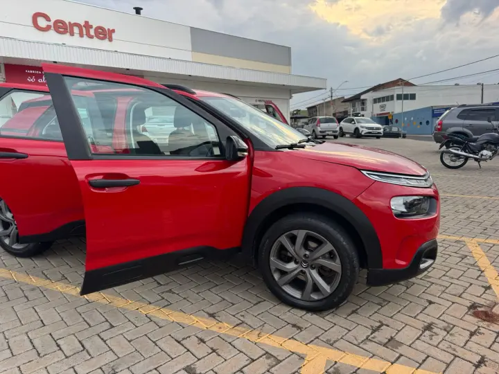 C4 Cactus Feel AT