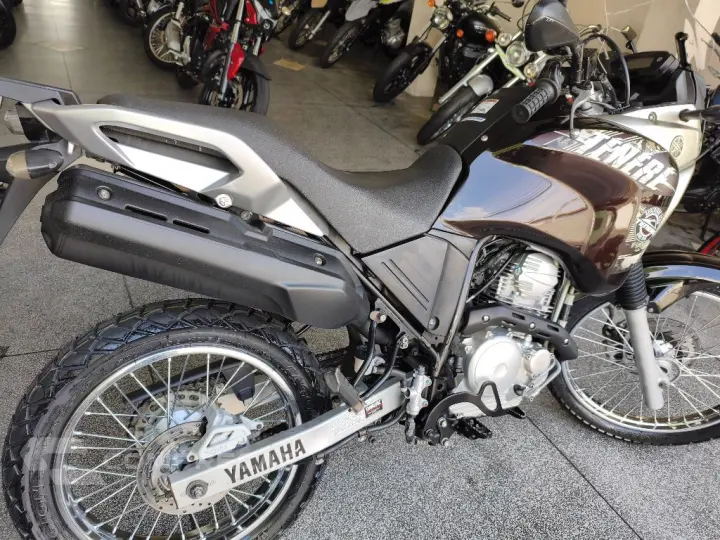XTZ 250 TENERE/TENERE BLUEFLEX
