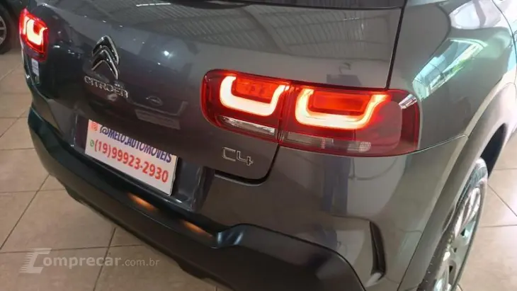 C4 CACTUS FEEL BUSINESS AUT