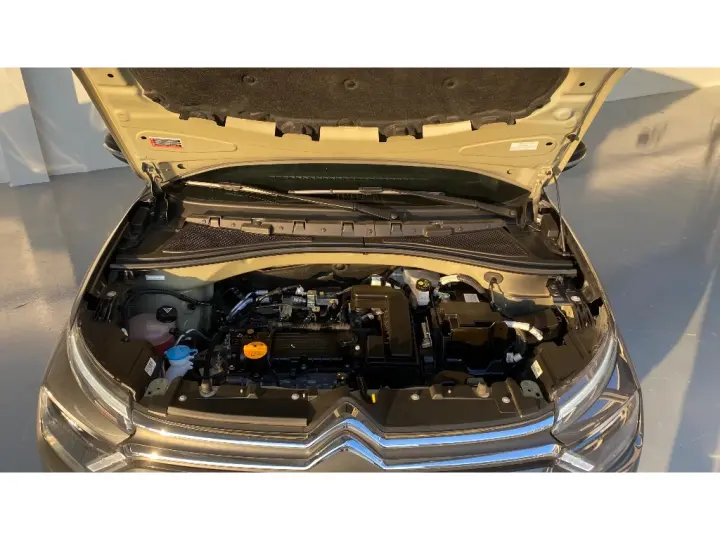 C3 1.0 FIREFLY FLEX FEEL MANUAL