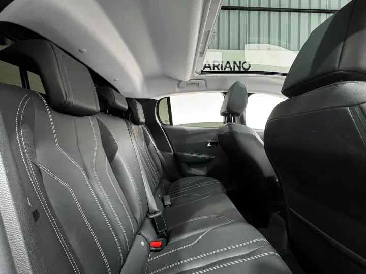 208 1.6 16V FLEX GRIFFE AT6