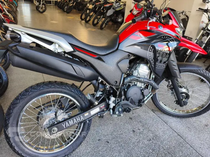 XTZ 250 LANDER 249cc/LANDER BLUEFLEX/ABS