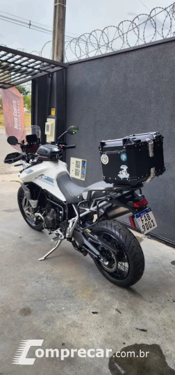 tiger 900 rally pro