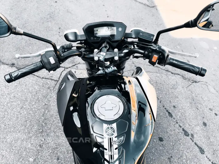 FAZER 250 BLUEFLEX