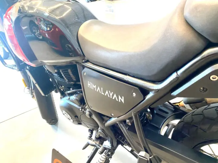 Himalayan
