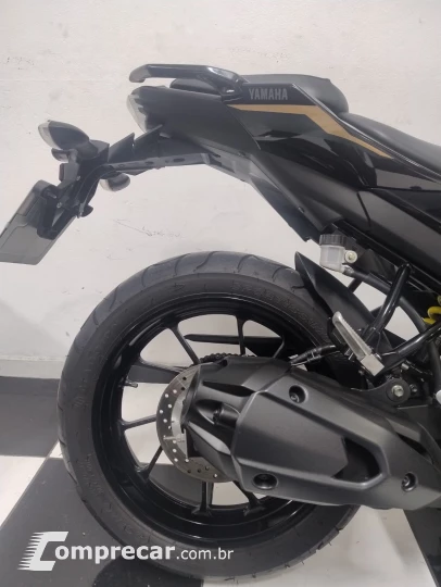 FZ25