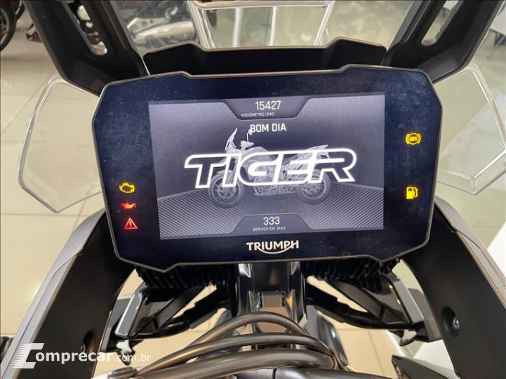 TIGER 900 GT PRO