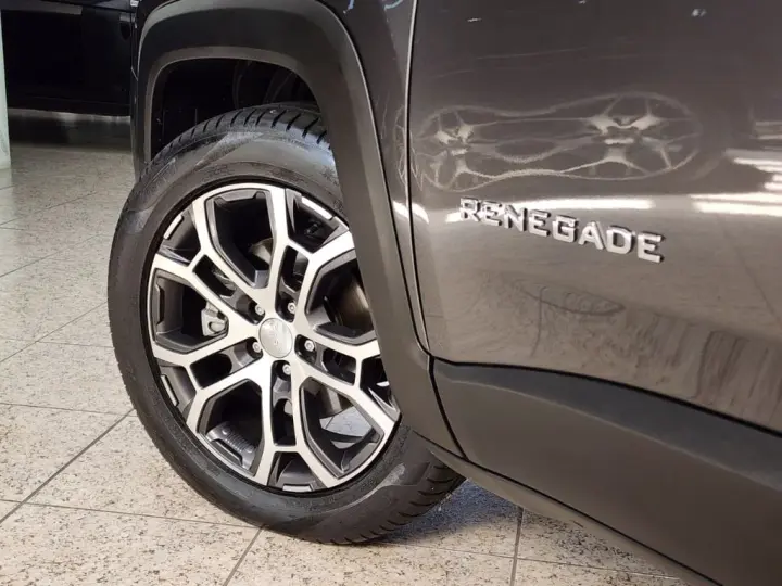 Renegade Long. T270 1.3 TB 4x2 Flex Aut.