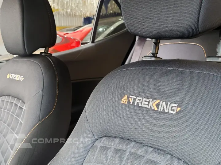 ARGO TREKKING 1.3 8V Flex