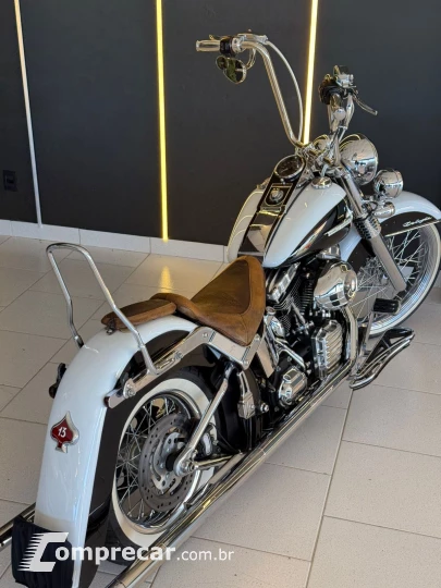 SOFTAIL DELUXE FLSTN