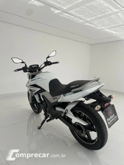 FAZER YS 250 BUEFLEX