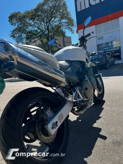 hornet 600