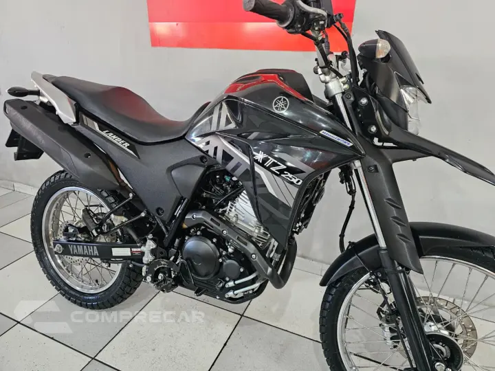 XTZ 250 Lander