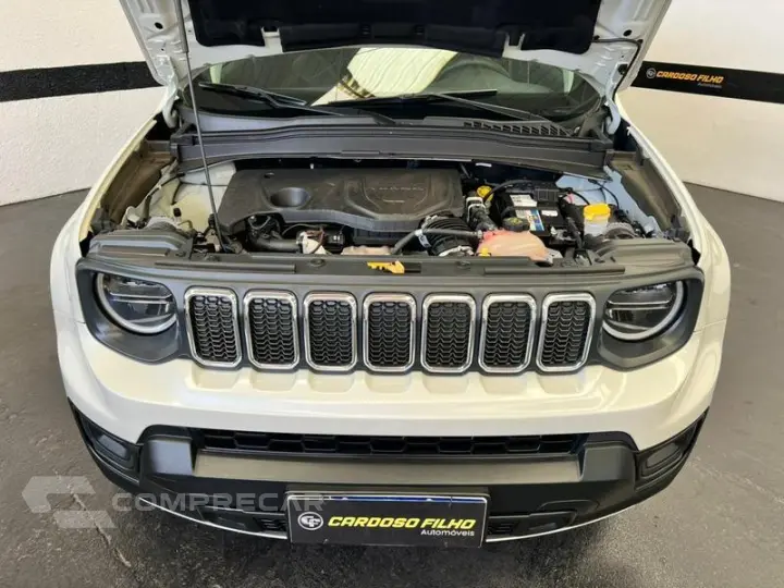 RENEGADE LGTD T270