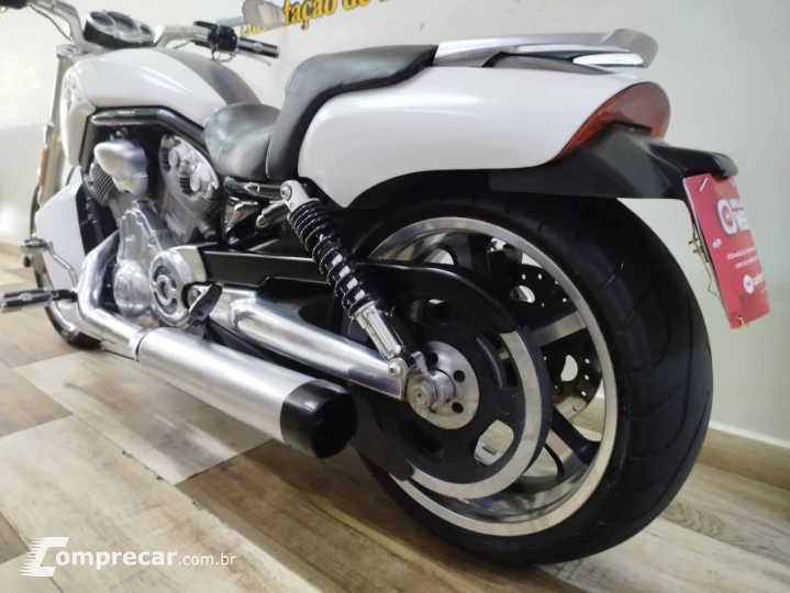 V Rod Custom 1250 cc