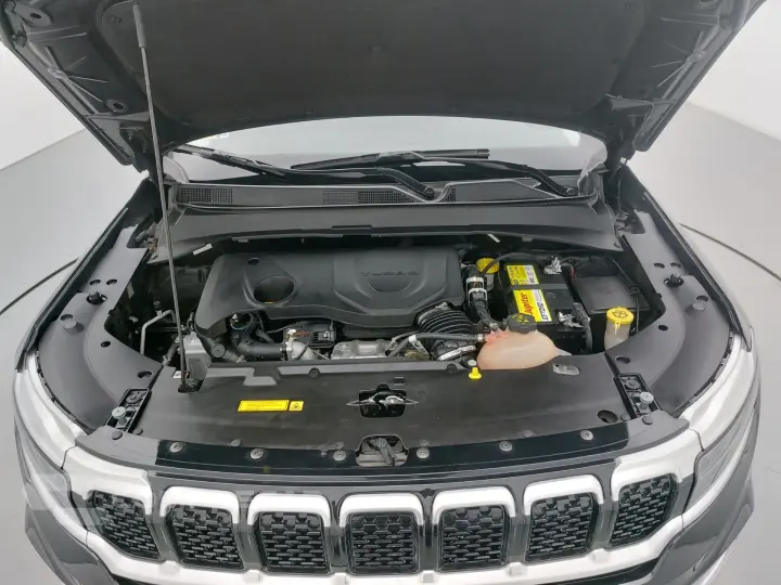 COMMANDER 1.3 T270 TURBO FLEX LIMITED AT6