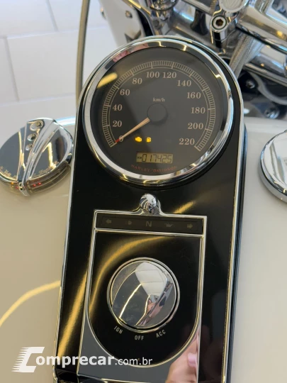 SOFTAIL DELUXE FLSTN