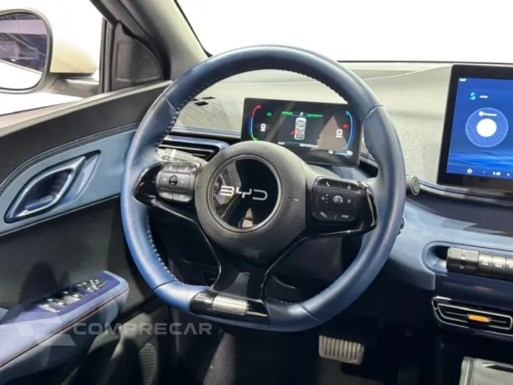 DOLPHIN MINI GS EV