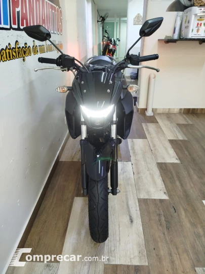 Fazer FZ25