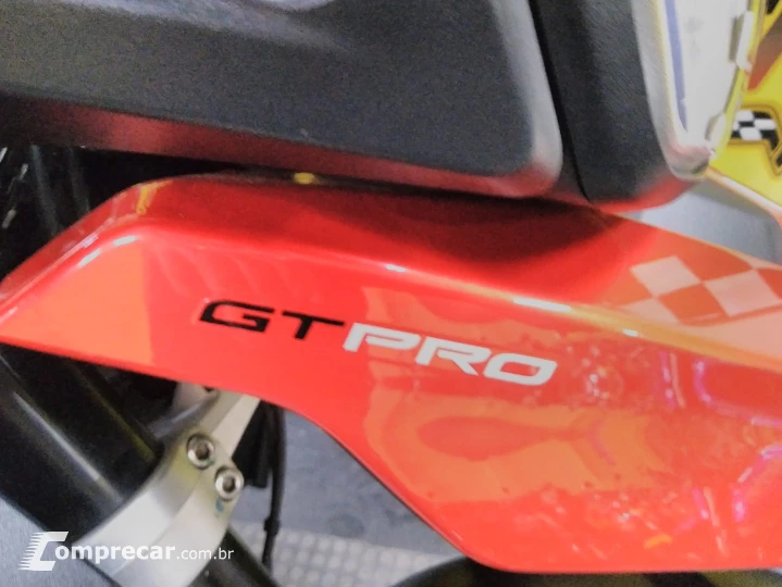 Tiger 900 gt pro