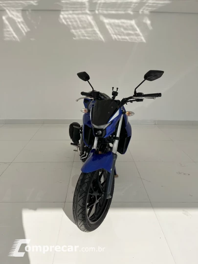 FZ250 FAZER